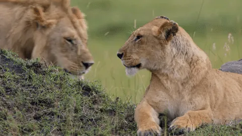 3Wv8cjedJF5eEzE3aN.gif