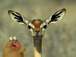 200 (1).gif