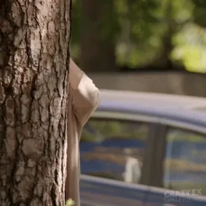 1663687320694.gif