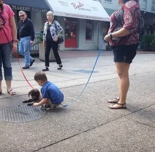 chiot.jpg