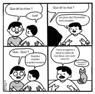 E9D29DE4-0FA3-4128-80DE-0FB53959FFB9.jpeg