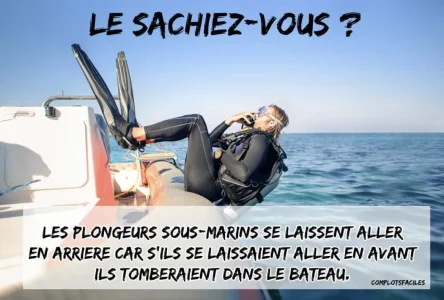 BAB4D22F-674E-4367-BBF1-751E76F6D79E.jpeg