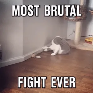 1u3bXcqHBDASA.gif