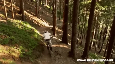 giphy (4).gif