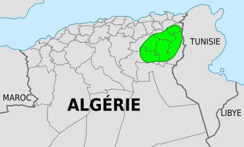 1200px-Chaoui.svg.png
