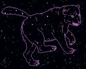 ursa_major_bear.jpg