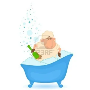 7977008-cartoon-mouton-dans-la-baignoire-est-isole.jpg