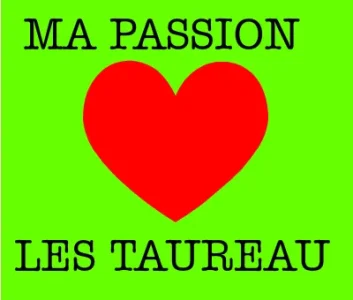 ma-passion-love-les-taureau-131524895366.png