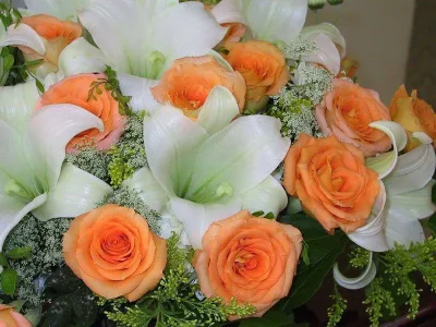 roses.jpg