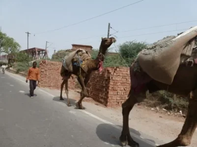 Agra.jpg
