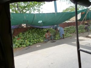 Agra_Water melon.jpg