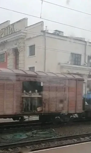 FeoSj10X0AE6gJU.jpg