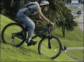 1666424995083.gif