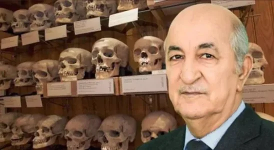 jamajem_boukhnouna.jpg