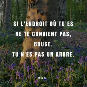 si-l-endroit-ou-tu-es-800.png