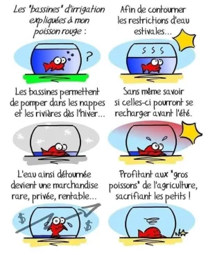 bassines expliquées.jpg
