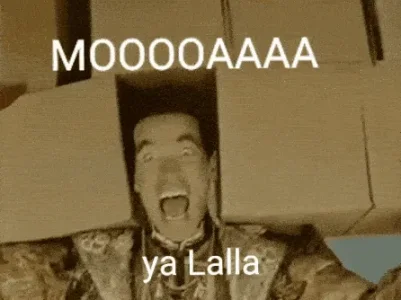 20221106_213521.gif