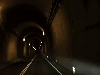 giphy.gif