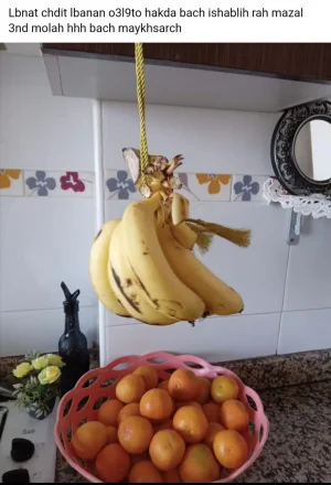 4E3DF0E6-9704-4781-A663-34CC781E5E92.jpeg
