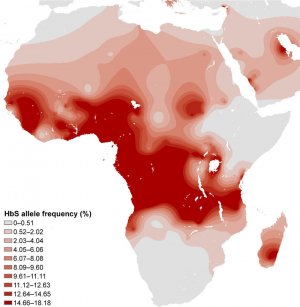 Map-of-the-distribution-of-the-S-gene-in-Africa-Note-The-map-is-based-on-representative.jpg