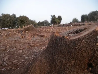 IMGP2209.JPG
