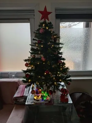 IMG_20221204_114139984_HDR.jpg