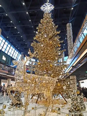 20221206_124332.jpg