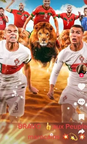 Screenshot_20221211-134337_TikTok.jpg