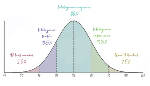 2-Echelle-de-QI.jpg
