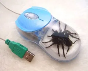 spider-mouse.jpg