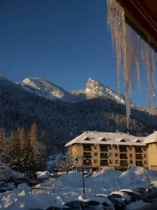 09 décembre 2012 040bis.jpg