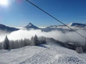 148242_308963039209329_394379323_n.jpg