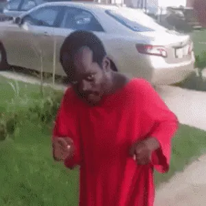 PerkySafeHornet-size_restricted.gif