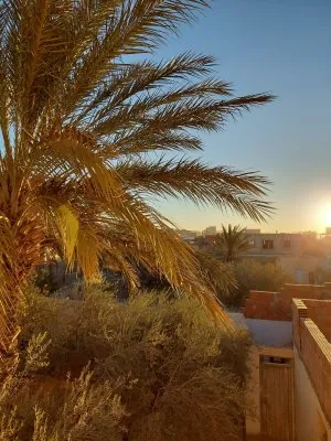 20221226_075501.jpg