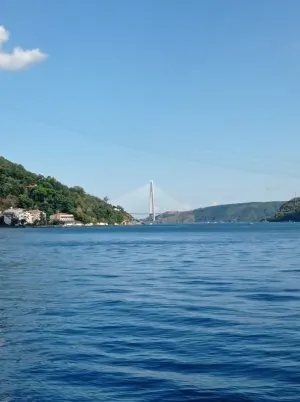 IMG_20220924_131203.jpg