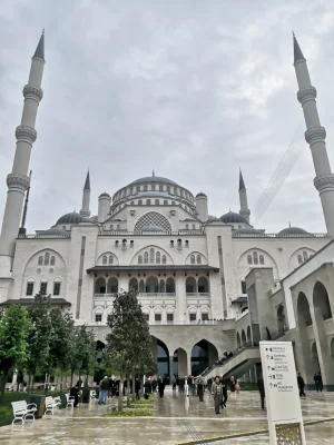 IMG_20190510_141820.jpg