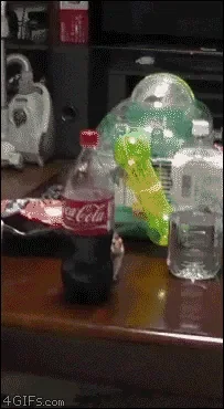 282F19EC-A87F-4379-BC23-D9C6095C2047.gif
