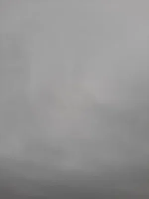 20230218_133553.jpg
