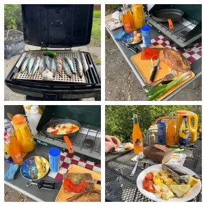 brunch-sardines.jpg