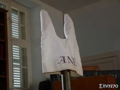 bonnet.jpg