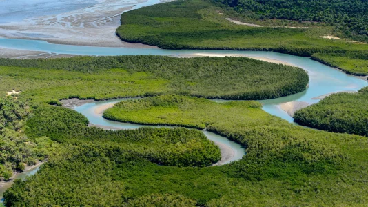 Guinea-Bissau-2500x1406.jpg