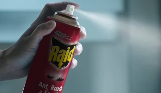 Raid-Max-Ant-Roach.jpg