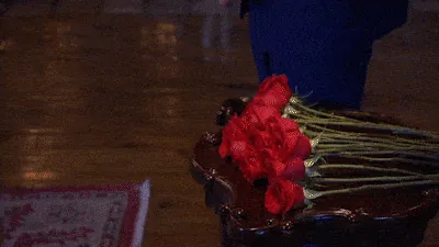 giphy-downsized.gif