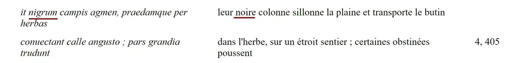 niger2.jpg