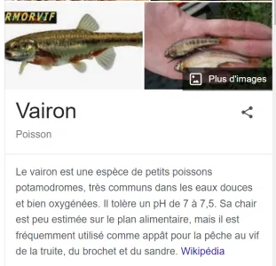 1684927618723.png