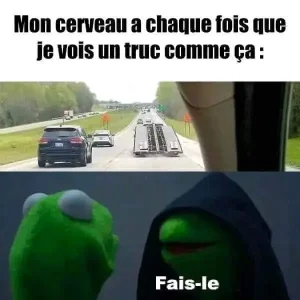 FB_IMG_1685289829030.jpg