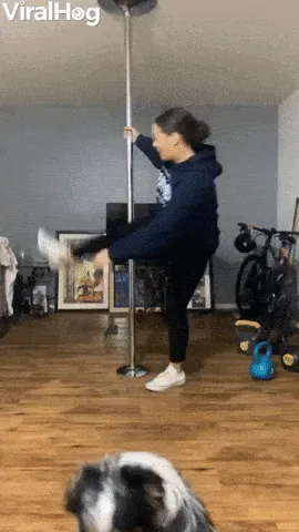 giphy-downsized.gif
