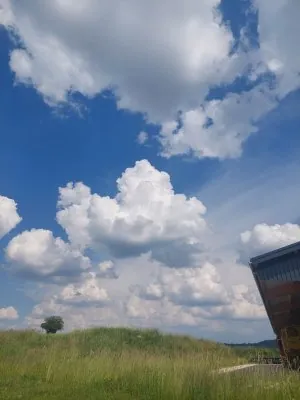 20230603_164046.jpg