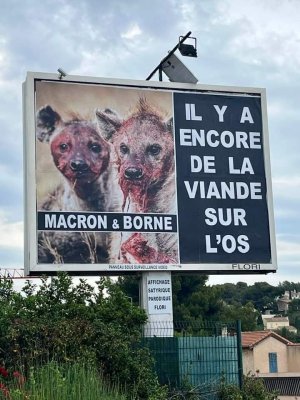 Borne Macron  viande sur os.jpg