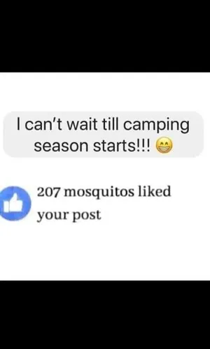 FB_IMG_1686695030369.jpg